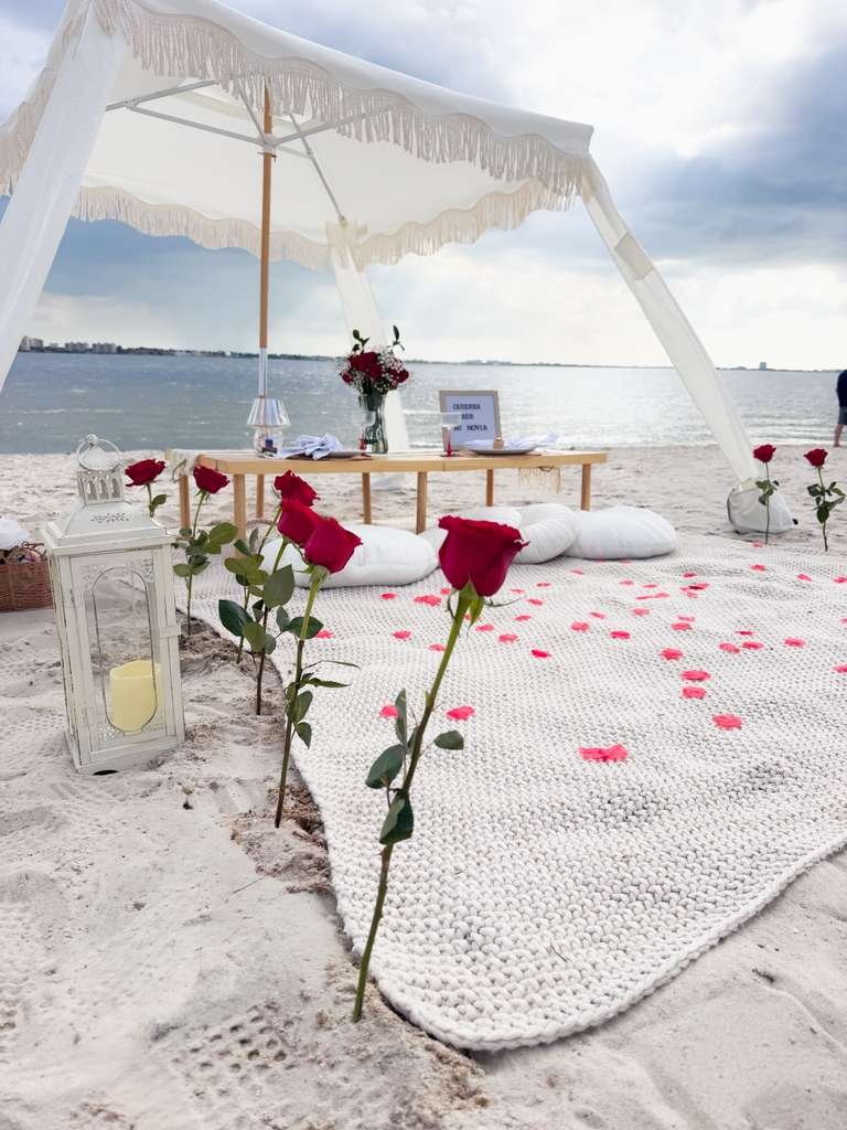 Picnic León Gallery